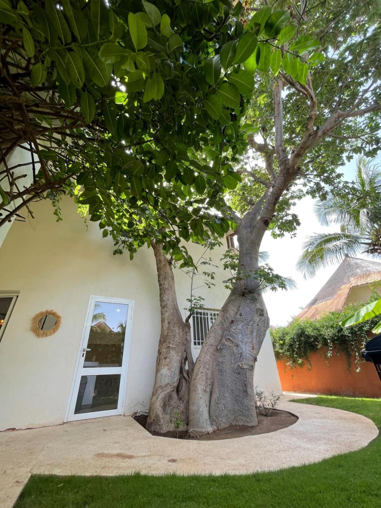 Agence Adjana Resort - Residence Du Port 3 Sali Tap ภายนอก รูปภาพ